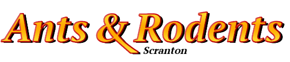 Scranton Ant Exterminator & Rodent Control Company Logo